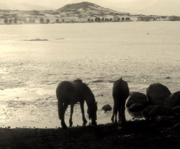 Cildir_Golu_Akcakale_Koyu_Cildir_Ardahan Cildir_Golu_Akcakale_Koyu_Cildir_Ardahan