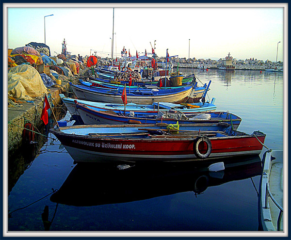 Balikci_Barinagi_Altinoluk_Balikesir Balikci_Barinagi_Altinoluk_Balikesir