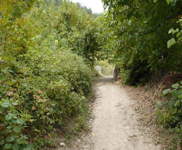 Emendere_Dag_Yolu_Balikesir Emendere_Dag_Yolu_Balikesir