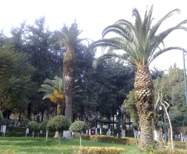 Buyuk_Park_Hatay Buyuk_Park_Hatay