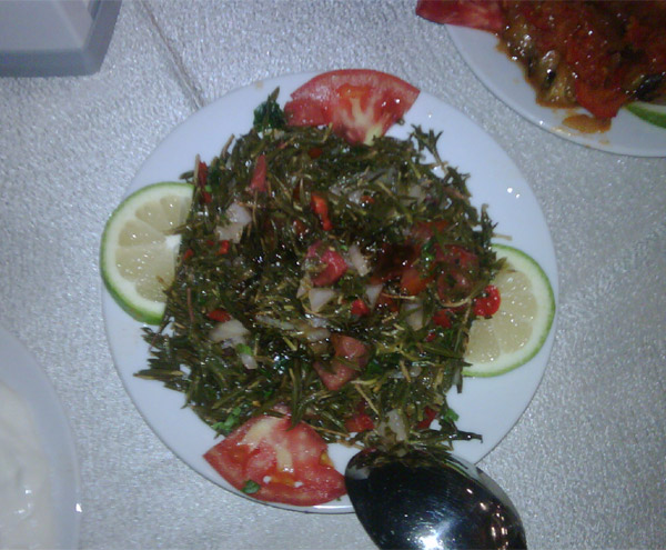 Kekik_Salatasi_Hatay_Ne_Nerede_Yenir Kekik_Salatasi_Hatay_Ne_Nerede_Yenir