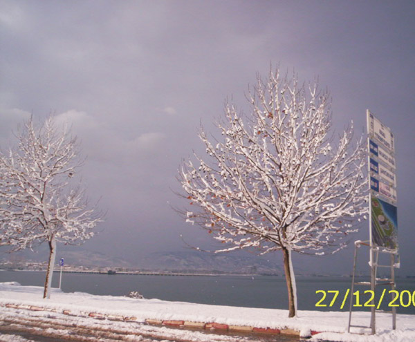 Sahil_Yolu_Kocaeli Sahil_Yolu_Kocaeli