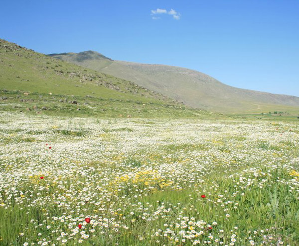 Niğde Niğde