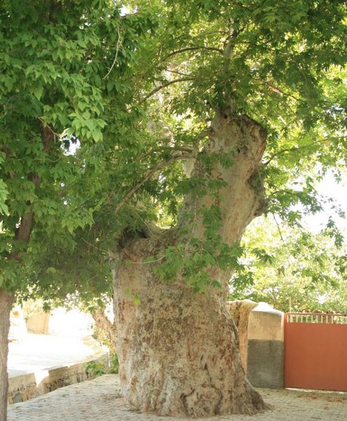 Niğde Niğde