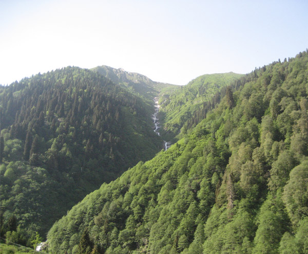 Ayder_Yaylasi_Camlihemsin_Rize Ayder_Yaylasi_Camlihemsin_Rize