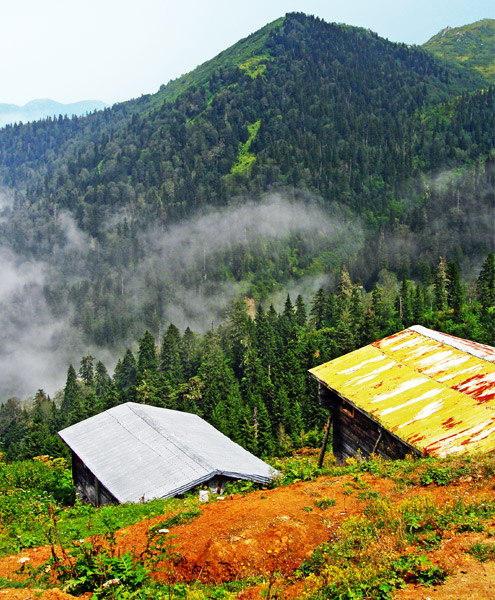 Hazindag_Yaylasi_Camlihemsin_Rize Hazindag_Yaylasi_Camlihemsin_Rize