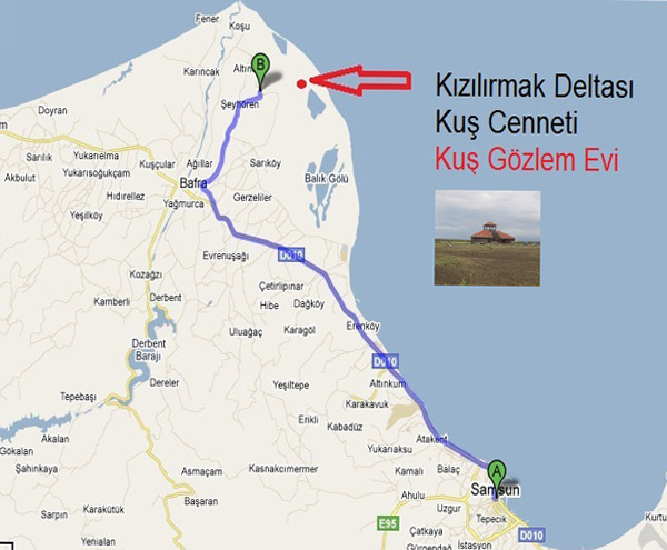 Kizilirmak_Deltasi_Kus_Cenneti_Kus_Gozlem_Evi_Bafra_Samsun Kizilirmak_Deltasi_Kus_Cenneti_Kus_Gozlem_Evi_Bafra_Samsun