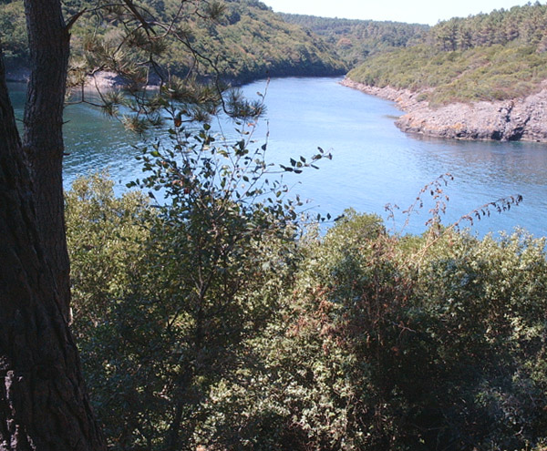 Hamsilos_Koyu_Sinop Hamsilos_Koyu_Sinop