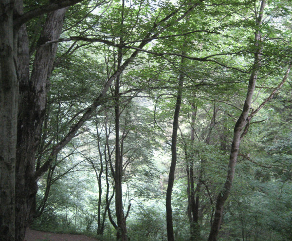Sumela_Manastiri_Trabzon Sumela_Manastiri_Trabzon