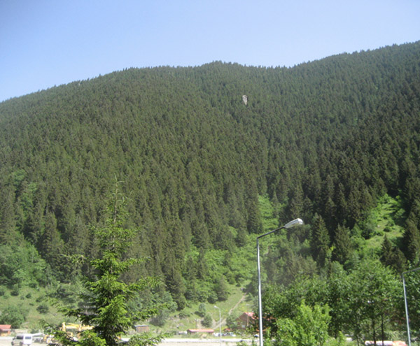 Uzungol_Trabzon Uzungol_Trabzon