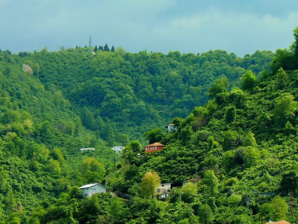 Seldegirmeni_Mahallesi_Giresun Seldegirmeni_Mahallesi_Giresun