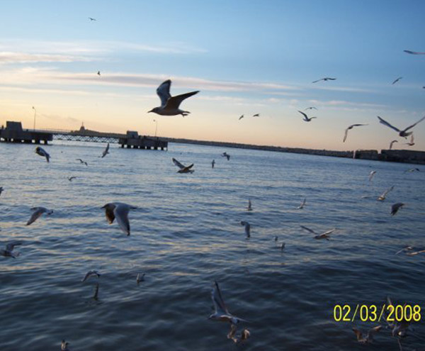 Sahil_Zonguldak Sahil_Zonguldak